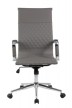 Кресло для руководителя Riva Chair RCH 6016-1 S+Серый - 1