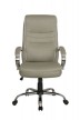 Кресло для руководителя Riva Chair RCH 9131+Серо-бежевый - 1